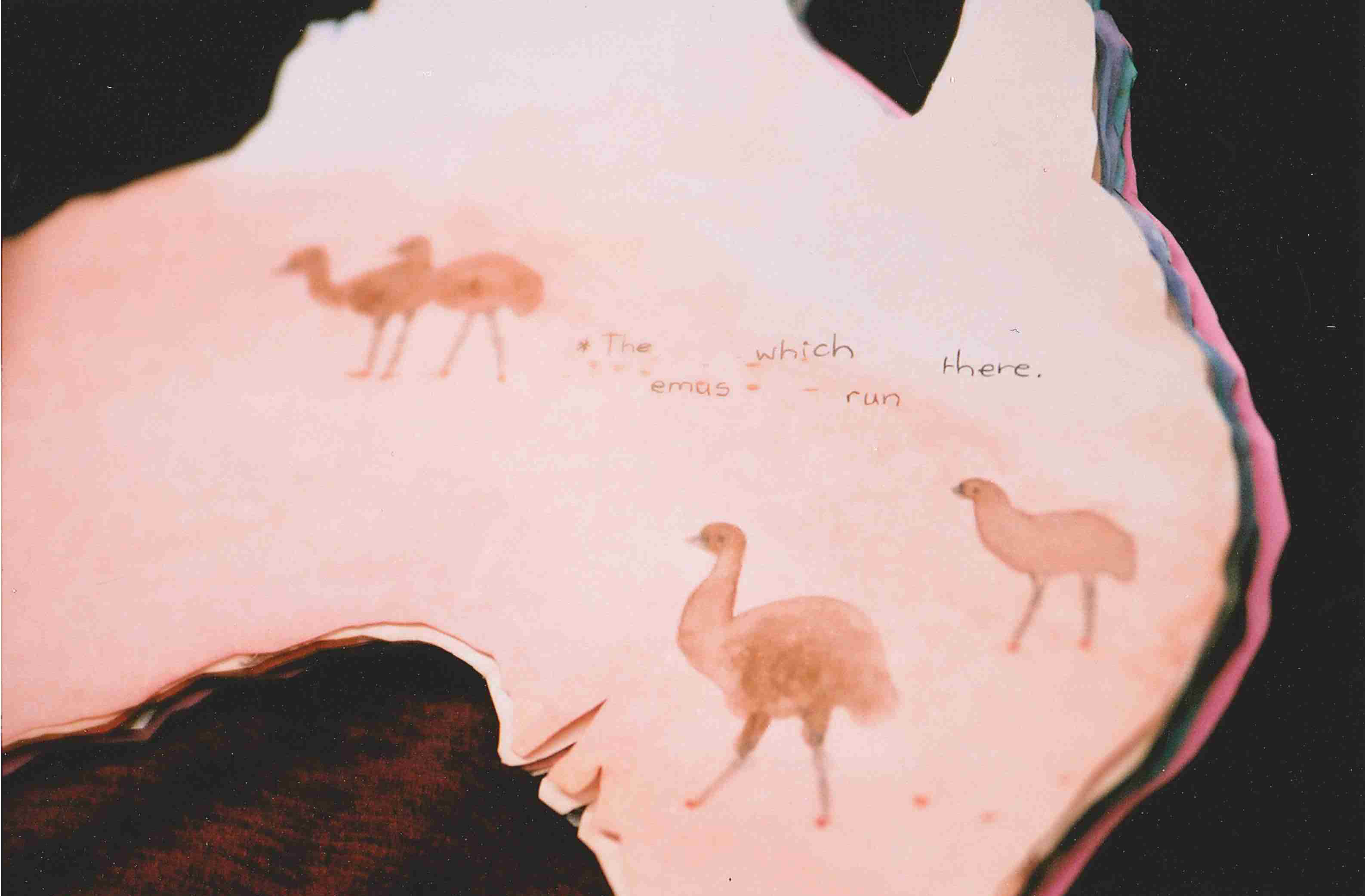 a book open to a page with emus painted on it.