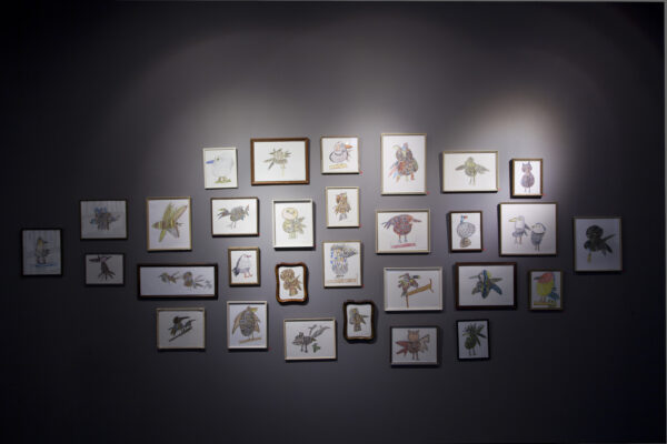 Drawings of animals are hung on a wall.