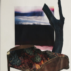 In the background is a photograph of sunset reflected in water. There is a stark blue-black tree and a bed in the foreground. The blankets of the bed have been replaced with an image of some cacti.