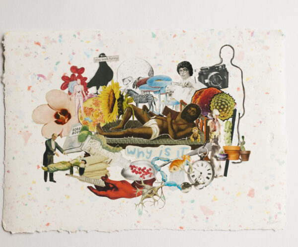 A man is lying on a bed of nails in the centre of the piece. He is surrounded by a group of collaged images including a spoon, a mushroom and a cell. Text below the bed reads reads "why is it".