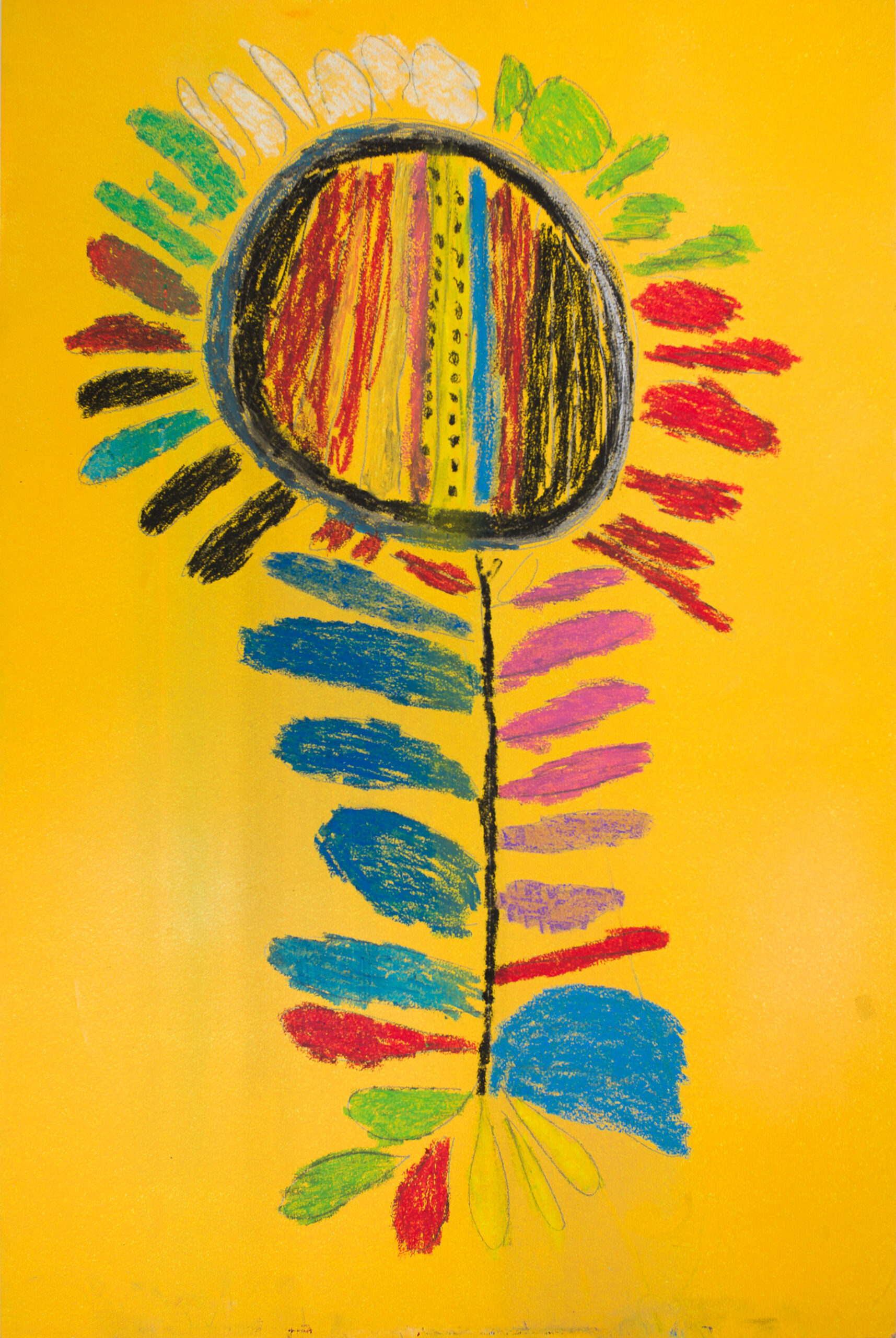 A colourful illustration of a flower on a yellow background.